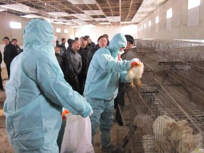 紧急通报 福建确诊首例人感染H5N6流感病例，高致死率需警惕