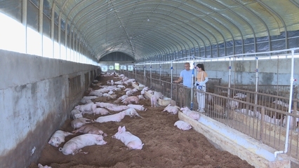 前三季度全市家禽产业稳健增长，农业增加值达84.48亿元同比增5.2%