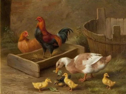 院中生灵 英国画家埃德加·亨特笔下的家禽世界