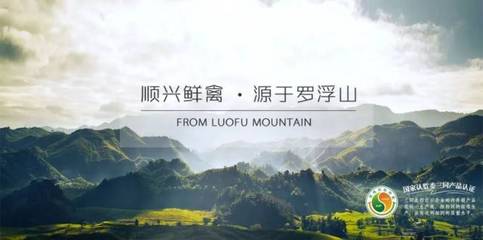 唐顺兴:一只&ldquo;供港鸡&rdquo;的国际化之旅|广东农产品出口典型案例