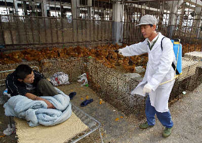 上海防禽流感网络新增宾馆饭店 家禽